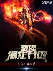 《最强爆炸升级》封面