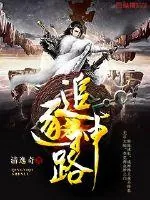 《追逐神路》封面