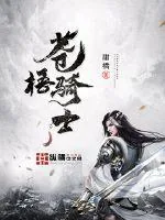 《苍梧骑士》封面