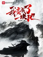 《我变成了一块地》封面