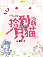《路边捡到一只猫》封面