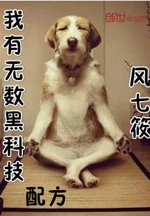 《我有无数黑科技配方》封面