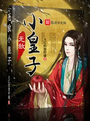 《无敌小皇子》封面