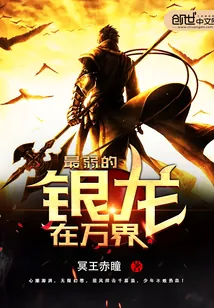 《最弱的银龙在万界》封面