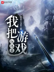 《我把游戏玩坏了》封面