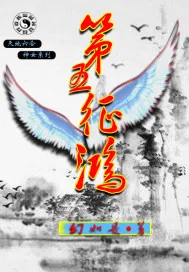 《第五征鸿》封面