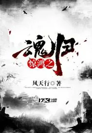 《惊鸿之魂归》封面