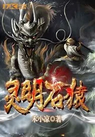 《灵明石猿》封面