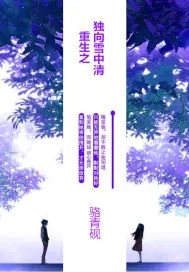 《重生之独向雪中清》封面