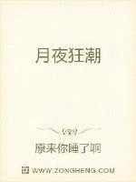 《月夜狂潮》封面