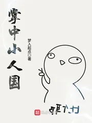《掌中小人国》封面