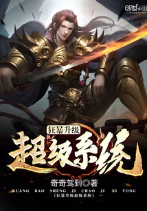 《狂暴升级超级系统》封面