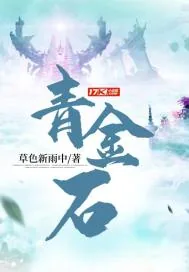 《青金石》封面