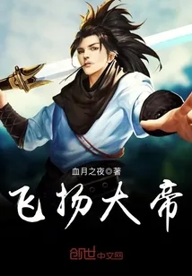 《飞扬大帝》小说封面