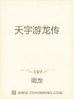 《天宇游龙传》封面