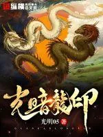 《光暗龙印》封面