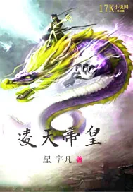 《凌天帝皇》封面
