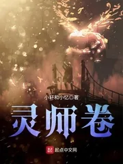 《灵师卷》封面