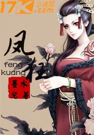 《凤狂》封面