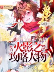 《火影之攻略人物》封面