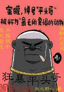 《狂暴平头哥》封面