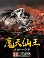 《魔天仙王》封面