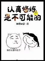 《认真修炼是不可能的》封面