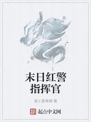 《废土指挥官》封面