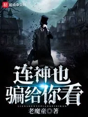 《连神也骗给你看》封面