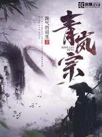 《青岚宗》封面