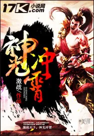 《神光冲霄》封面