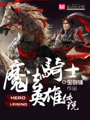 《魔法骑士英雄传说》封面