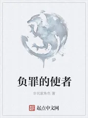 《负罪的使者》封面