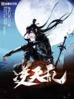 《逆天乱》封面