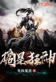 《摘星狂神》封面