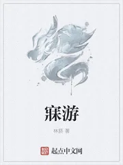 《寐游》封面
