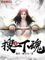 《来搜一下魂》封面