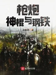 《枪炮神棍与钢铁》封面