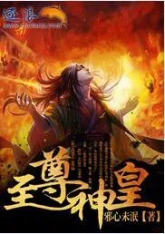 《至尊神皇》小说封面