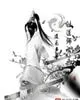 《剑道师祖2》封面