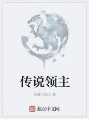 《传说领主》封面