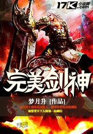 《完美剑神》封面