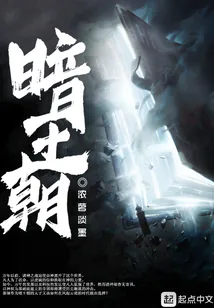《暗王朝》封面