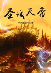 《圣域天帝》封面