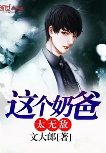 《这个奶爸太无敌》小说封面