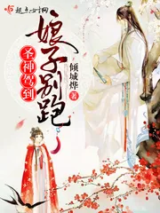 《圣神驾到，娘子别跑》封面