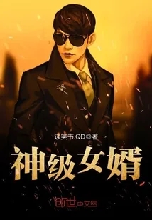 《神级女婿》封面