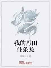 《我的丹田住条龙》封面