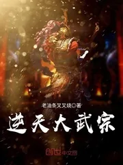 《逆天大武宗》封面