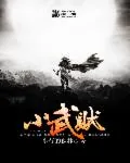 《小武贼》封面
